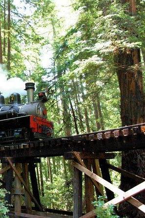 Roaring Camp